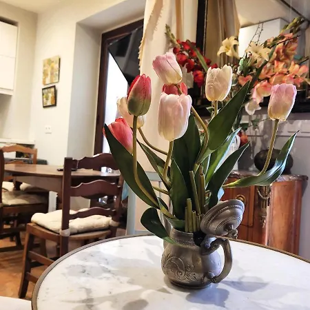 Homestay Casa Del Buen Viaje - Solea *